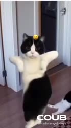 170827560654824751.mp4