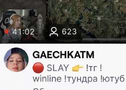 image.jpeg