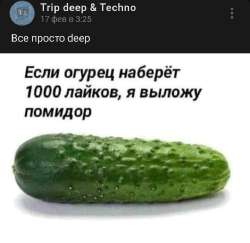 IMG20240219172228.jpg
