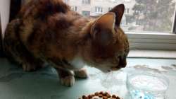 IMG20210813170604062.jpg