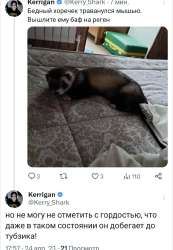 16823495610912.jpg