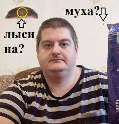 вовик оwddw.jpg