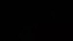 14491392891770.webm