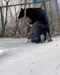 1651747524322.mp4