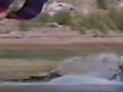 1571081031669.mp4
