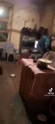 1584689386853.mp4