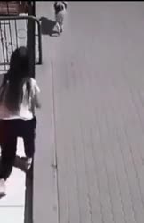 1649538749934.mp4