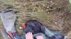 1682479385728.webm
