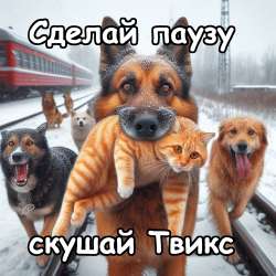 17069532778100.jpg