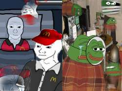 .jpg