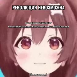 .mp4