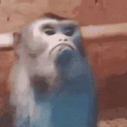 1707112237512682.gif