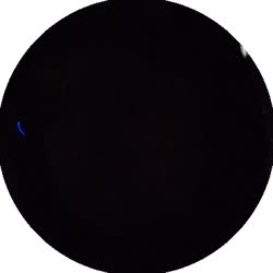 98c163d011.mp4