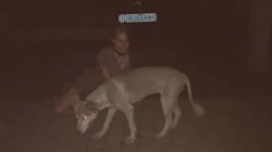 17090732788740.mp4