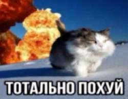 1709269631562.jpg