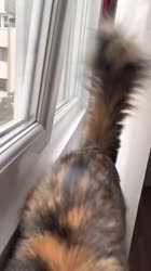 1709381041978.mp4