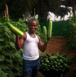 cucumber.jpg