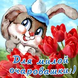 HD0tkAQFqrU.jpg