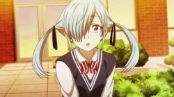 1606954628816.webm