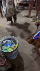 1647495479220.webm