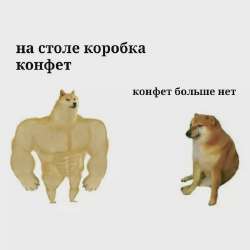 1709919033898.webp
