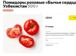 пмдр.jpg