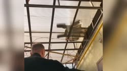 1662039459059.mp4