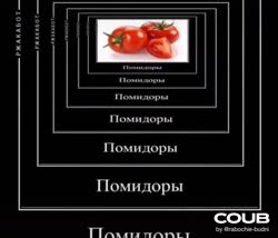 ПОМИДОРЫ l МЕМ l ТИК ТОК.mp4