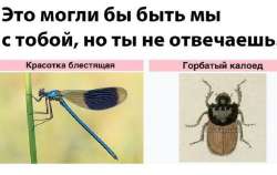 17003457691490.jpg