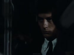 16801917094200.webm