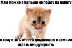 1710511849627.jpg