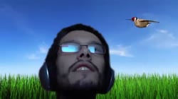 424.webm