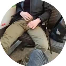 1710566285616.mp4