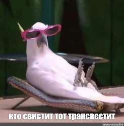 1708845297881.jpg