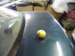 Встрясочка )))-(240p20).mp4