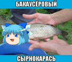 1651801411408.jpg