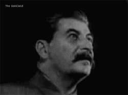 stalinsmotritnatebya.gif