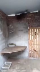 17075199976260.webm