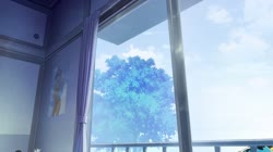 1677936902718.webm