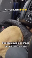 1640081343370.mp4