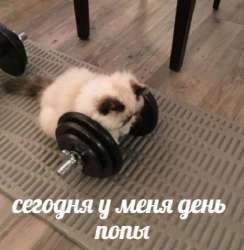 ретрокотя зал гантеля.jpg