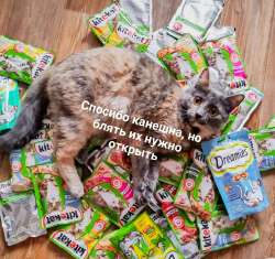 235.jpg