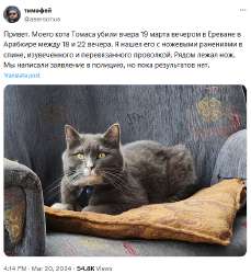 изображение.png