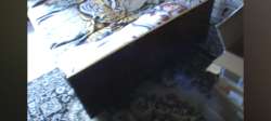 Screenshot2024-03-19-22-22-41-468com.google.android.youtube.jpg
