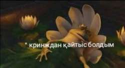 MEj9w3iGbp4.jpg