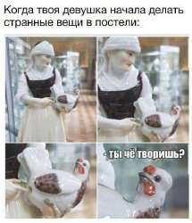15825877.jpg