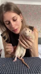 ты чево блин - ты чево блин (2).mp4