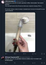 433431.jpg