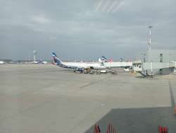 IMG20240329142157.jpg