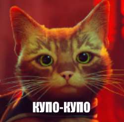 купо.png